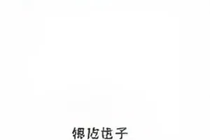 《评论区风向标》封面：两万条评论立场抽样的柱状图示意